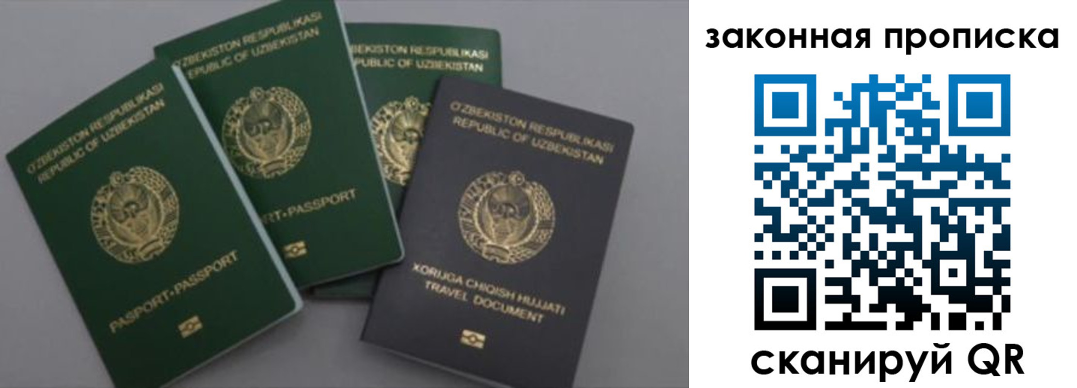 прописка законно в Вологодской области